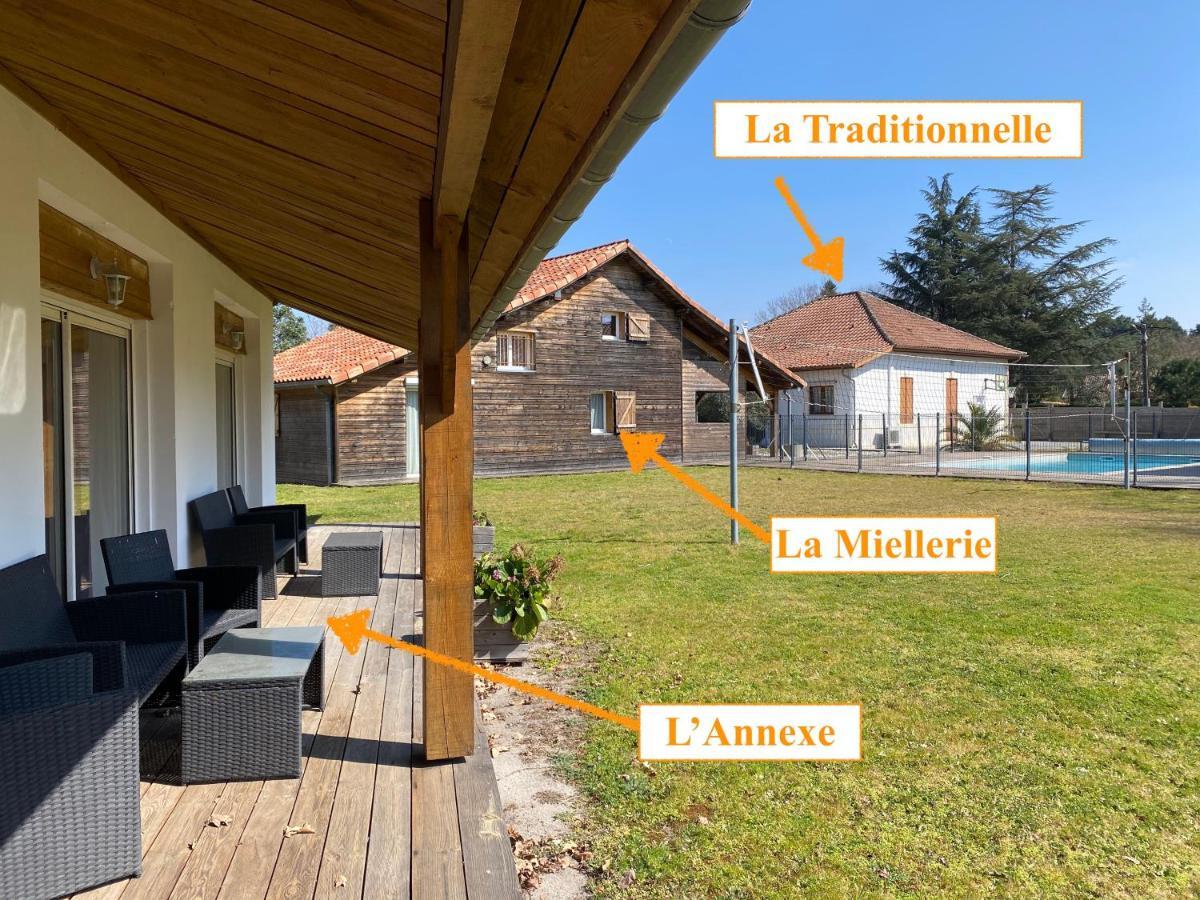 Ensemble De 3 Villas Avec Piscine Chauffee, Esprit Detente Sanguinet Εξωτερικό φωτογραφία